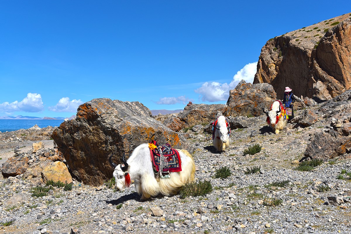 Nam Tso Lake | Photo par Liu Bin